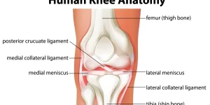 Joint Pain: What causes it?